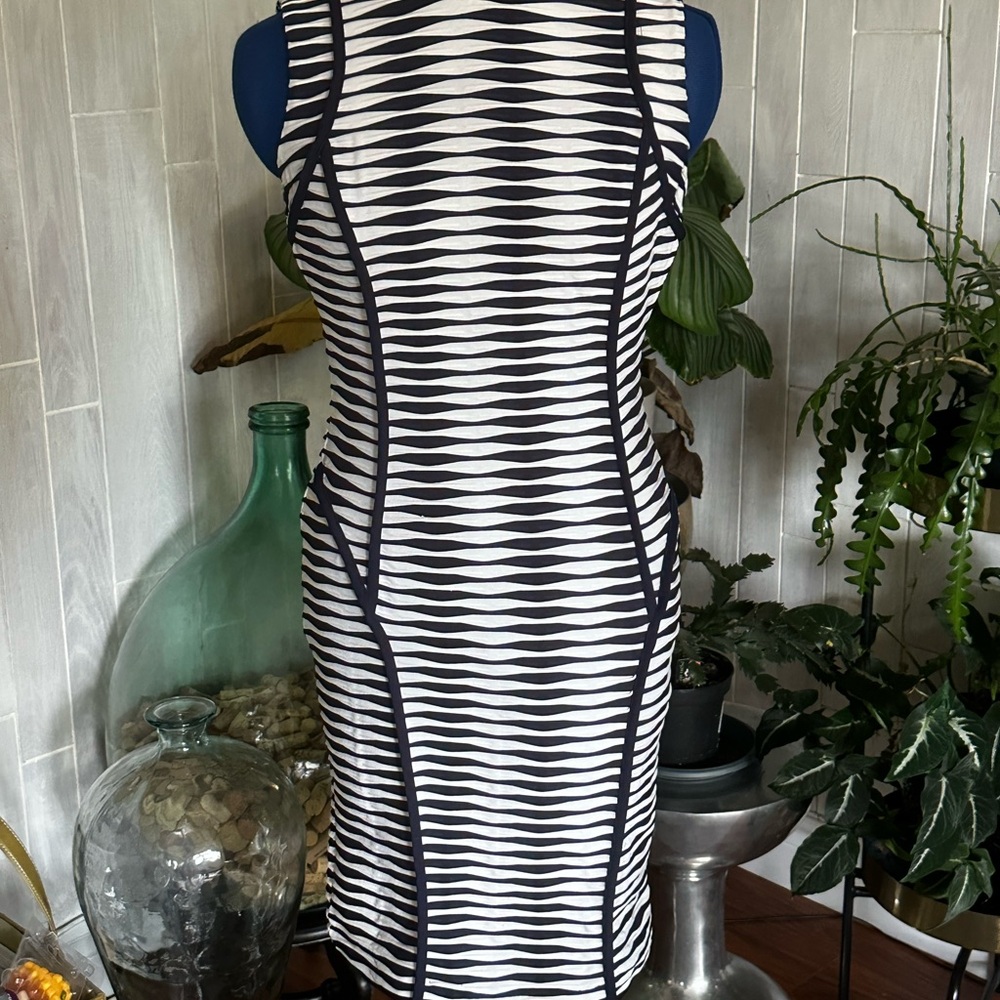 Beige by eci Black and White Sleeveless Sheath Dress